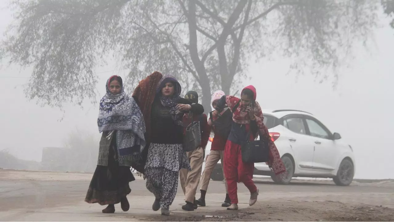 दिल्ली-NCR में गलन वाली ठंड ने बढ़ाई मुसीबत! उत्तर भारत के कई राज्यों में कांपे लोग