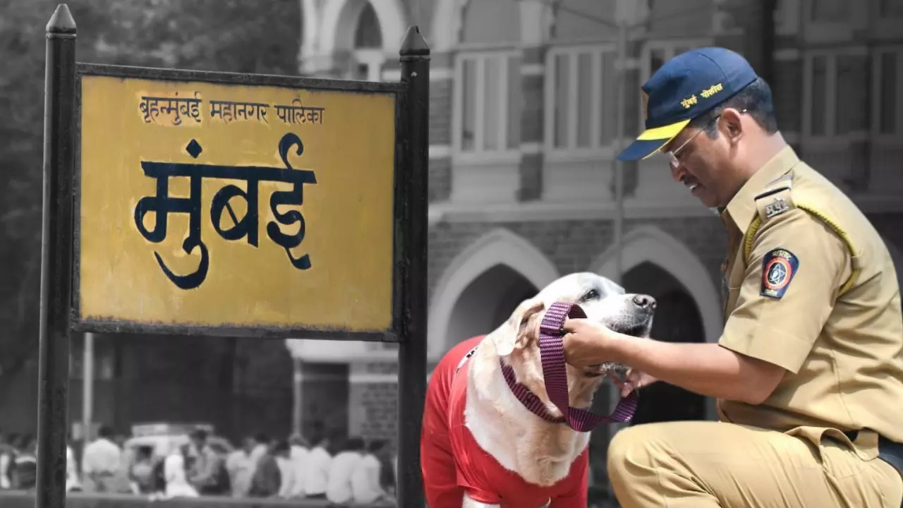 मुंबई पुलिस के कंट्रोल रूम में बजी ट्रिंग-ट्रिंग की घंटी, उधर से मिला धारावी में बम रखे जाने का अलर्ट मुंबई पुलिस के कंट्रोल रूम में बजी ट्रिंग-ट्रिंग की घंटी, उधर से मिला धारावी में बम रखे जाने का अलर्ट