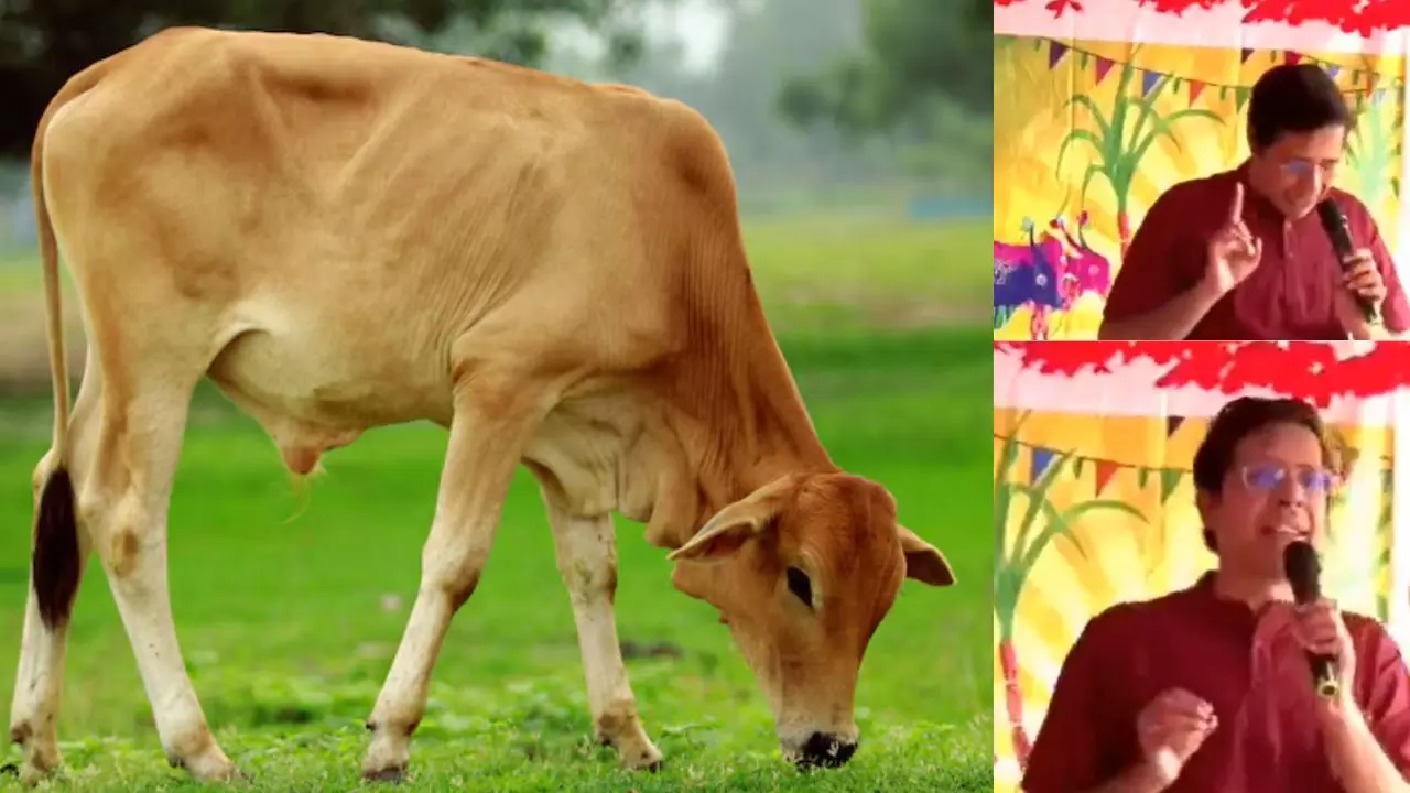गोमूत्र से खत्म होती है बीमारियां, IIT मद्रास के निदेशक का वीडियो वायरल; ऑनलाइन छिड़ी बहस