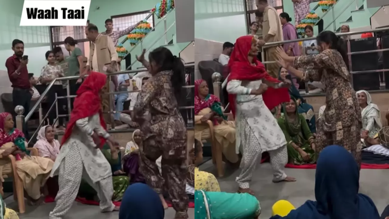 हरियाणवी गाने पर ताई ने लगाए ठुमके, डांस में जवान छोरियों को भी किया फेल, देखें VIDEO हरियाणवी गाने पर ताई ने लगाए ठुमके, डांस में जवान छोरियों को भी किया फेल, देखें VIDEO