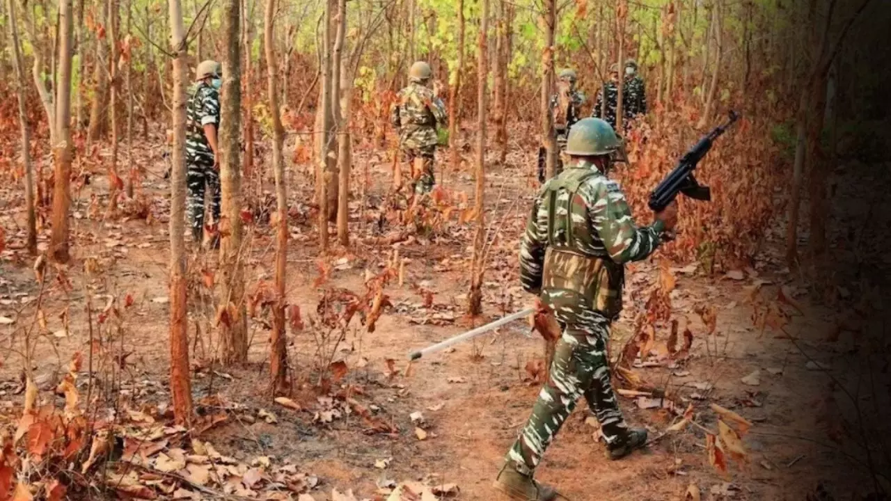 छत्तीसगढ़ के गरियाबंद में सुरक्षाबलों के साथ मुठभेड़ में दो महिला नक्सली ढेर, शव बरामद छत्तीसगढ़ के गरियाबंद में सुरक्षाबलों के साथ मुठभेड़ में दो महिला नक्सली ढेर, शव बरामद