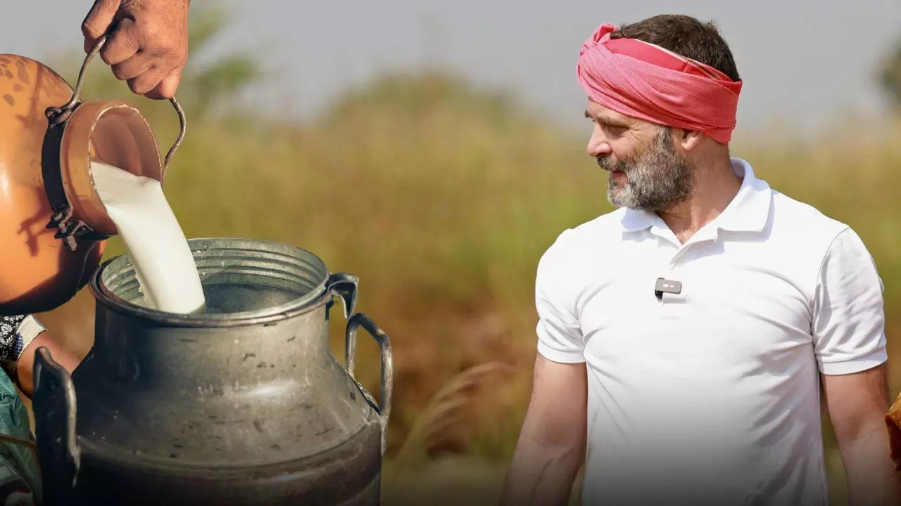 राहुल गांधी ने गिराया एक बाल्टी दूध! 250 रुपये के लिए कोर्ट पहुंचे बिहार के मुकेश चौधरी