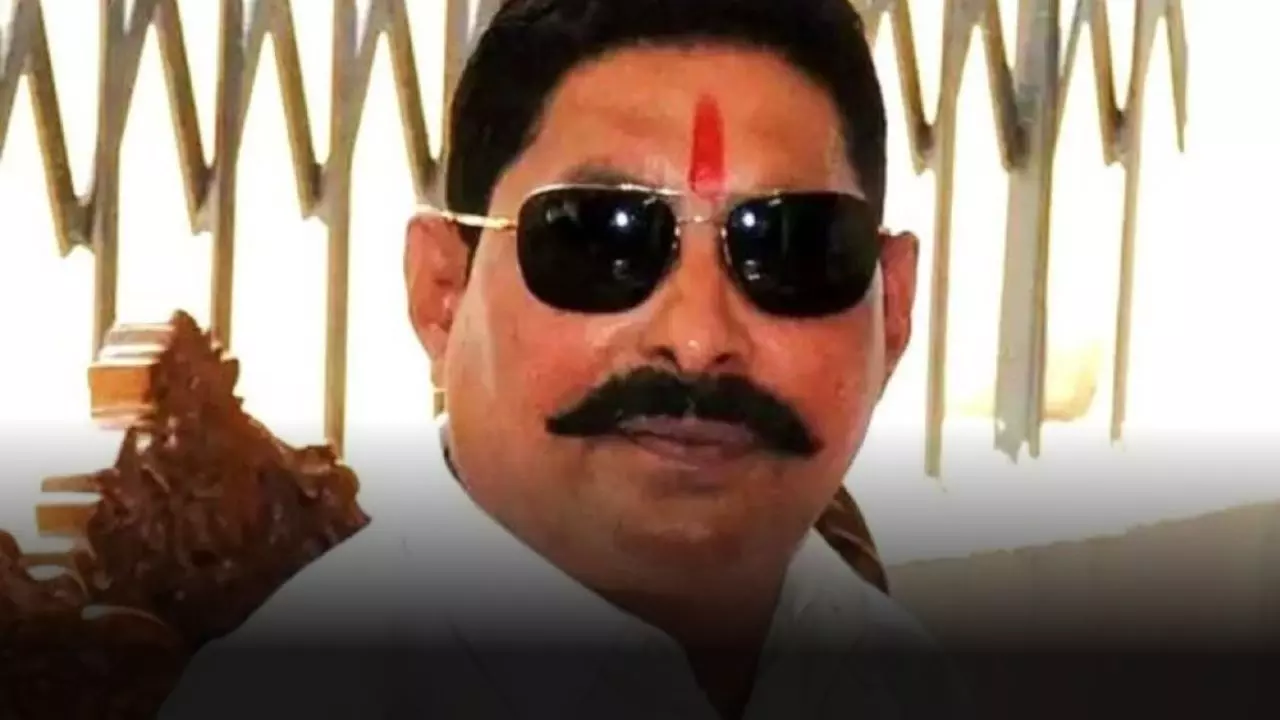 अनंत सिंह पर हमला करने वाले सोनू-मोनू कौन? गोलीकांड के बाद बोले बाहुबली - सरकार सोचे सुरक्षा देनी है कि नहीं