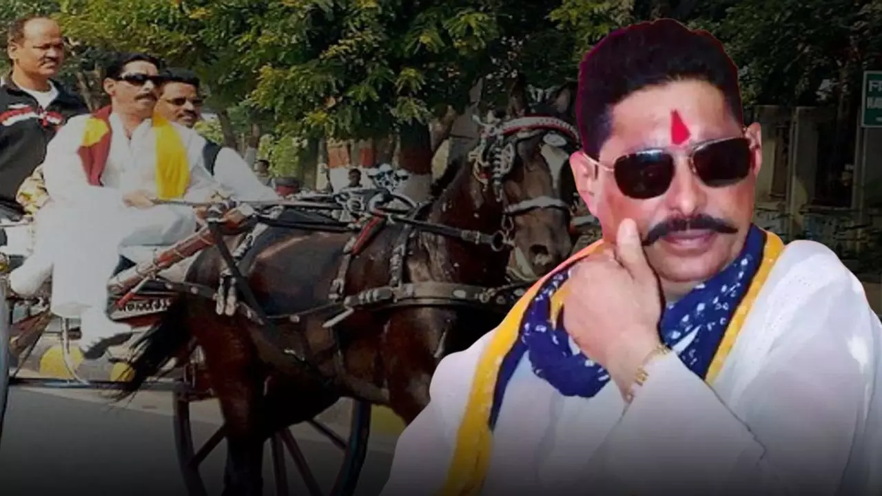 कभी चले थे वैरागी बनने, कैसे हुई क्राइम वर्ल्ड में वापसी? कहानी मोकामा के डॉन अनंत सिंह की