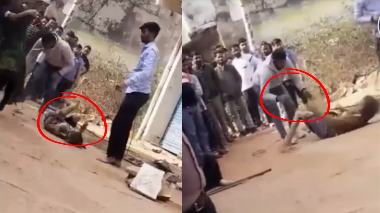 बीच सड़क महिलाओं के साथ मारपीट!  ग्वालियर में बिजली के खंभे से बांधकर बरसाए डंडे| VIDEO