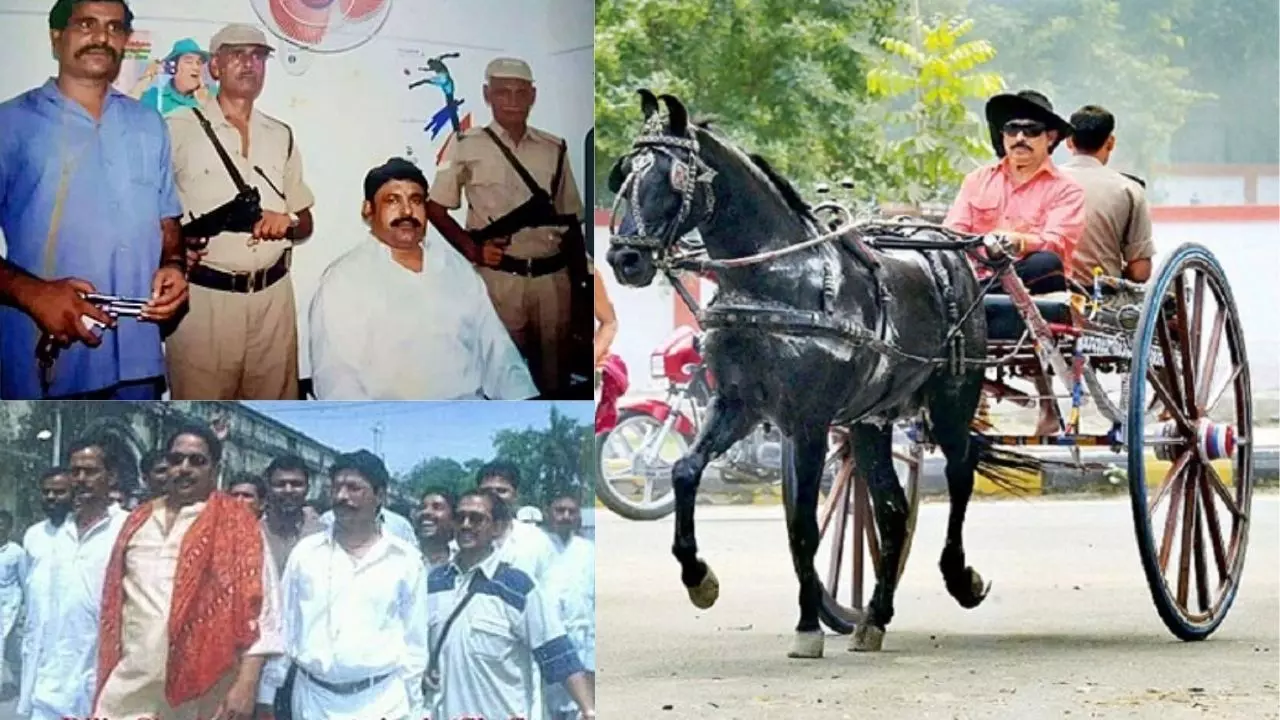 भाई की हत्या ने बनाया गैंगस्टर, एक बड़े सरकार के नाम से रहे मशहूर - बाहुबली अनंत सिंह की फैमिली हिस्ट्री भाई की हत्या ने बनाया गैंगस्टर, एक बड़े सरकार के नाम से रहे मशहूर - बाहुबली अनंत सिंह की फैमिली हिस्ट्री