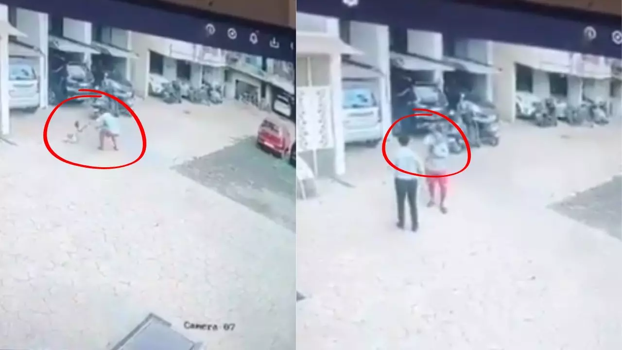 13वीं मंजिल से नीची गिरी 2 साल की बच्ची, सुपर हीरो बन शख्स ने बचाई जान| VIDEO