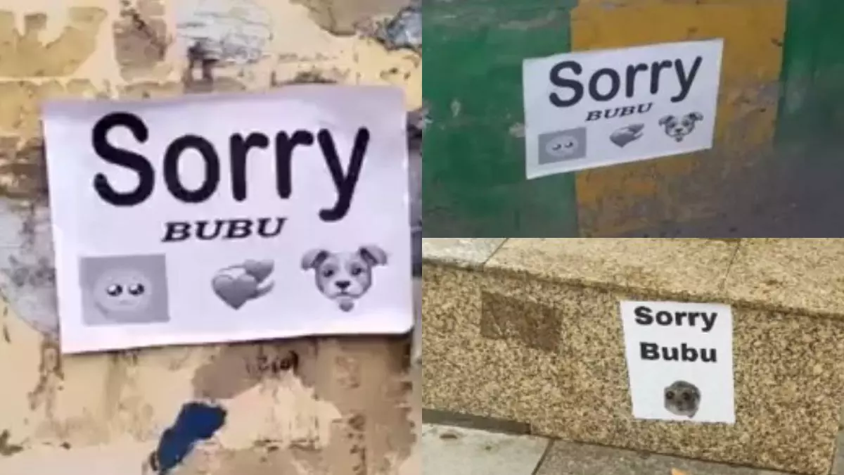 नोएडा से मेरठ तक लगे Sorry Bubu के पोस्टर, कोई आशिकी तो कोई बता रहा मार्केटिंग का फंडा