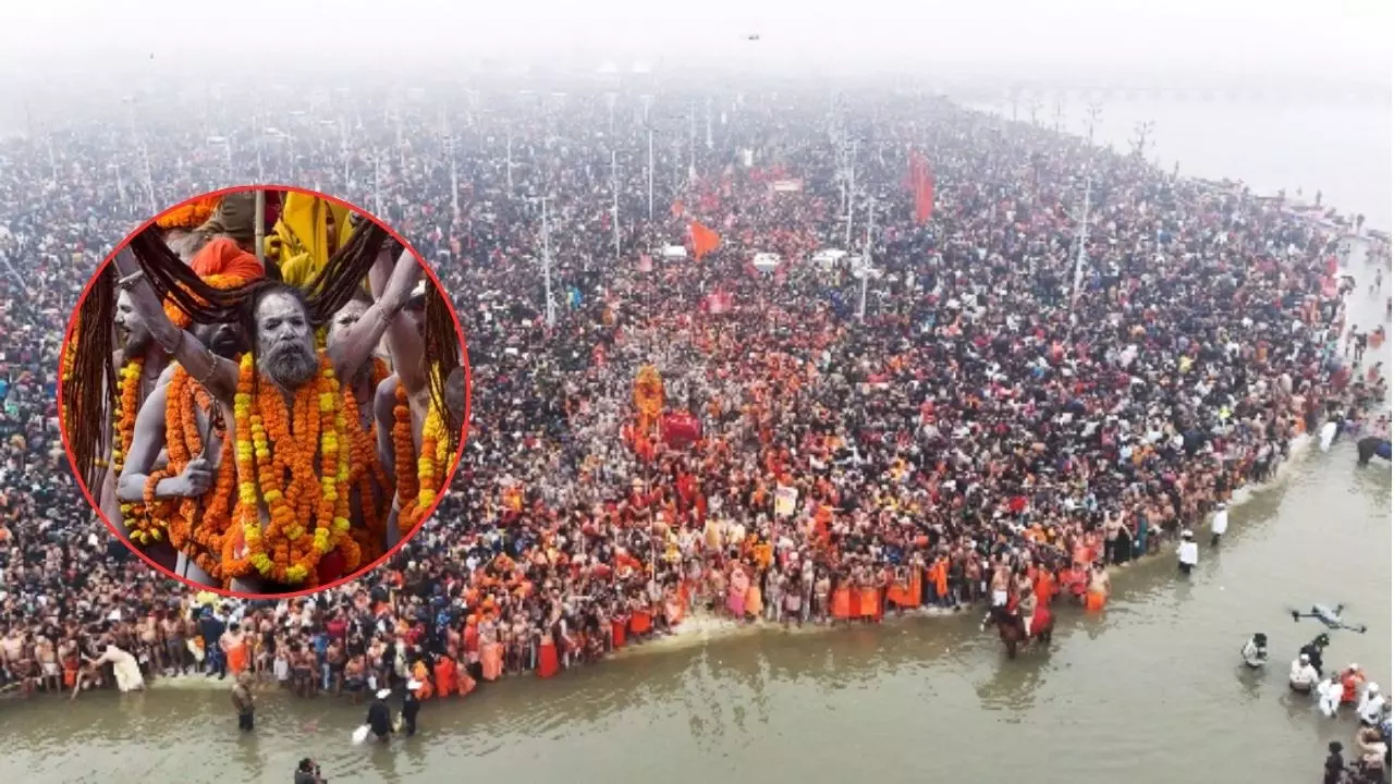 CM योगी का ऑर्डर - जीरो एरर, क्रॉस-क्राउड मूवमेंट पर कड़ी नजर, कैसा है महाकुंभ में सुरक्षा का इंतजाम? CM योगी का ऑर्डर - जीरो एरर, क्रॉस-क्राउड मूवमेंट पर कड़ी नजर, कैसा है महाकुंभ में सुरक्षा का इंतजाम?