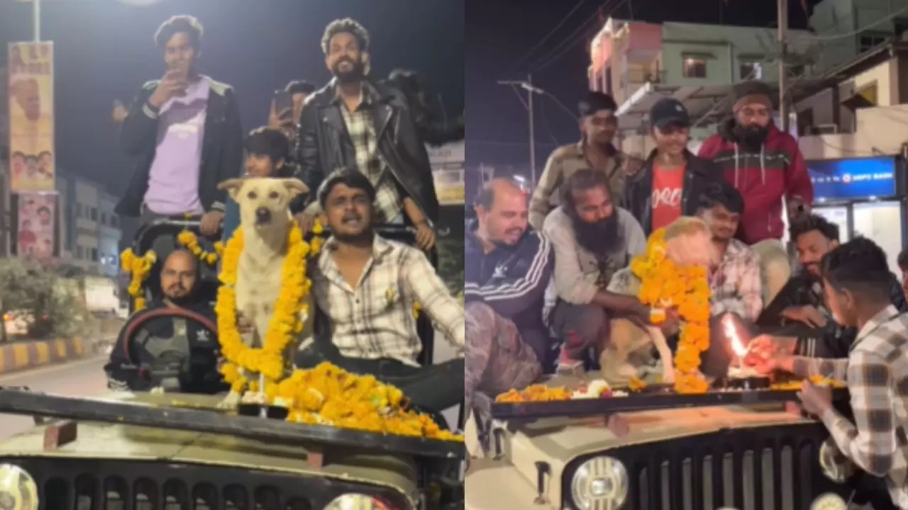 होर्डिंग्स, केक और पटाखे फोड़कर युवकों ने बनाया कुत्ते का अनोखा बर्थडे, वीडियो Viral