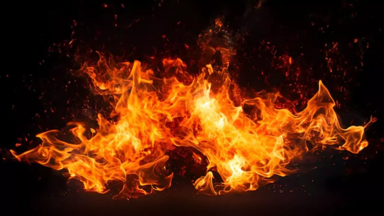 पति बना दरिंदा, पहले आंख में डाली मिर्च फिर डीजल डालकर पत्‍नी को जिंदा जलाया
