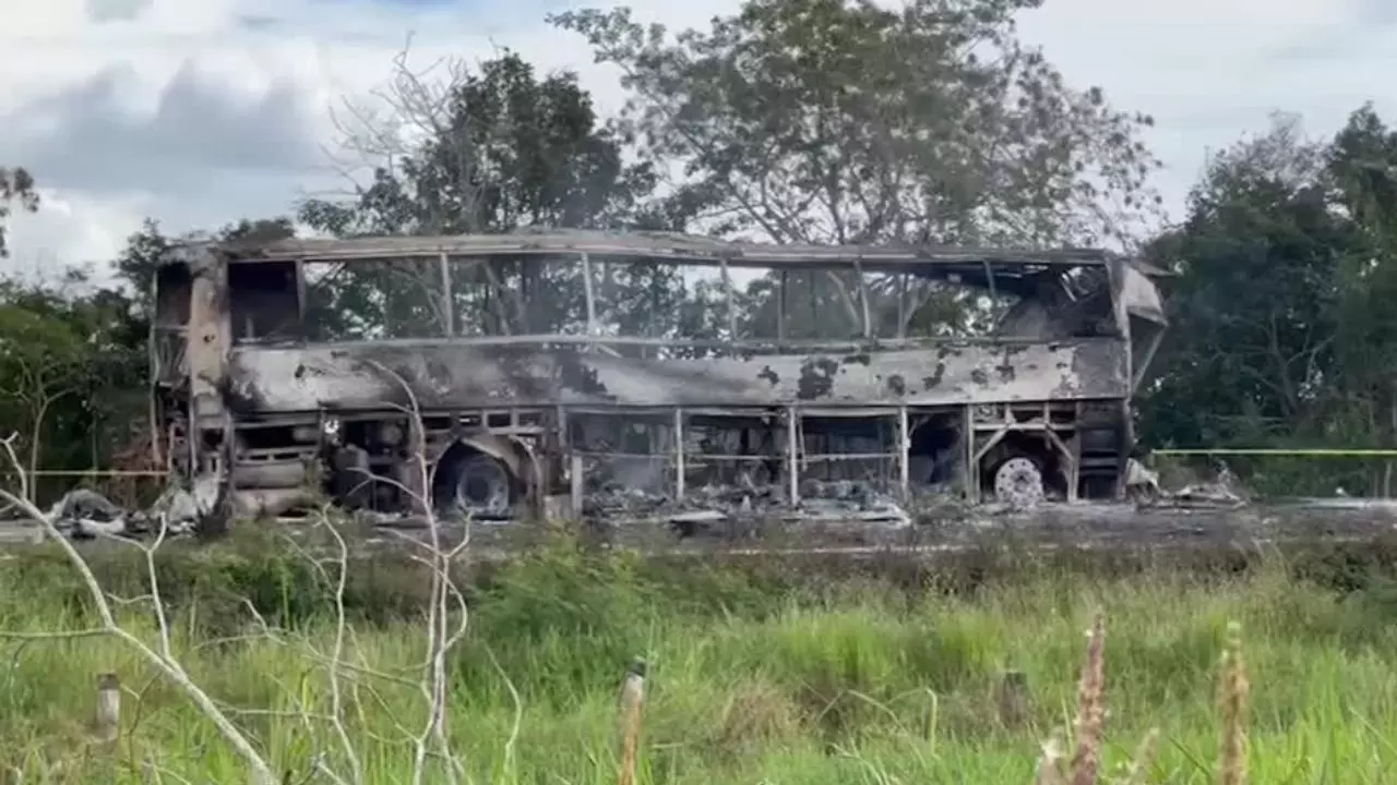 मेक्सिको में भीषण सड़क हादसा, 41 लोगों की दर्दनाक मौत, 3 की हालत गंभीर | VIDEO