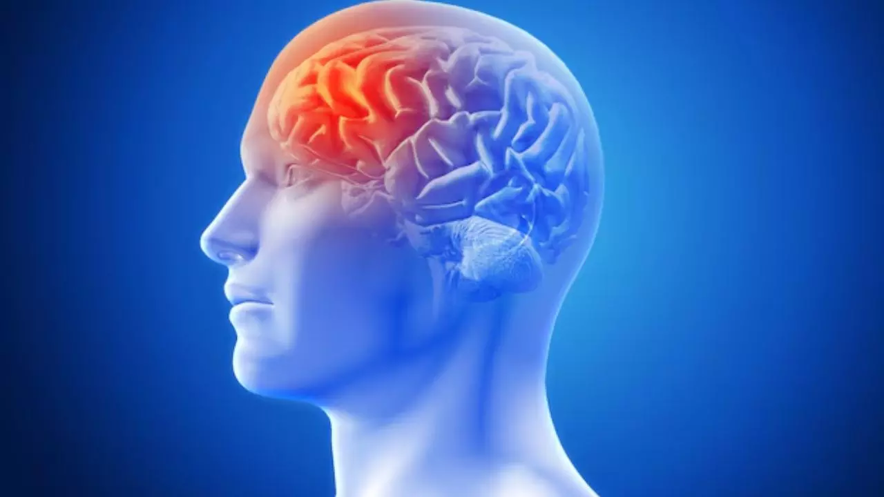 कैंसर होने पर होती है ऐसी क्रेविंग, चार बार Brain Tumour का शिकार हुए शख्स ने बताए साइन कैंसर होने पर होती है ऐसी क्रेविंग, चार बार Brain Tumour का शिकार हुए शख्स ने बताए साइन