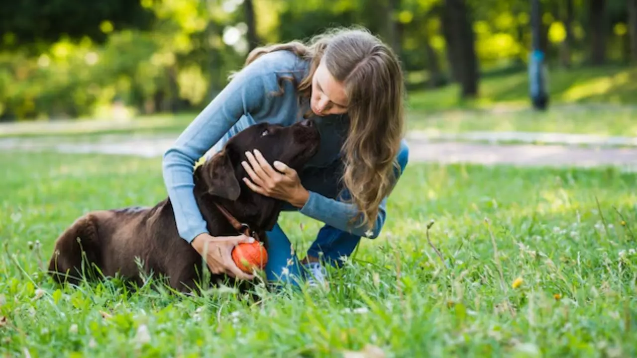 PET नहीं पसंद तो नो डेटिंग, पार्टनर के बजाय कुत्तों को दे रहे वैल्यू, स्टडी में हुए अजीबो-गरीब खुलासे PET नहीं पसंद तो नो डेटिंग, पार्टनर के बजाय कुत्तों को दे रहे वैल्यू, स्टडी में हुए अजीबो-गरीब खुलासे