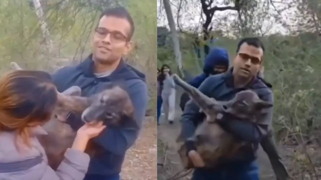 100 CCTV खंगाले और गली-गली लगाए पोस्टर! कपल को 3 महीने बाद मिला लापता पेट डॉग |VIDEO