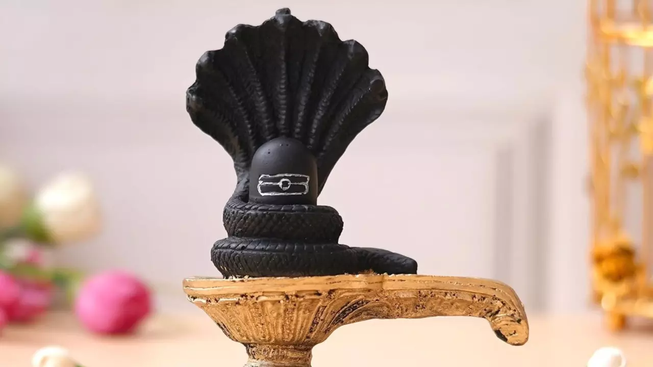 शिवलिंग और ज्योतिर्लिंग में क्या फर्क है? इस महाशिवरात्रि से पहले जान लीजिए