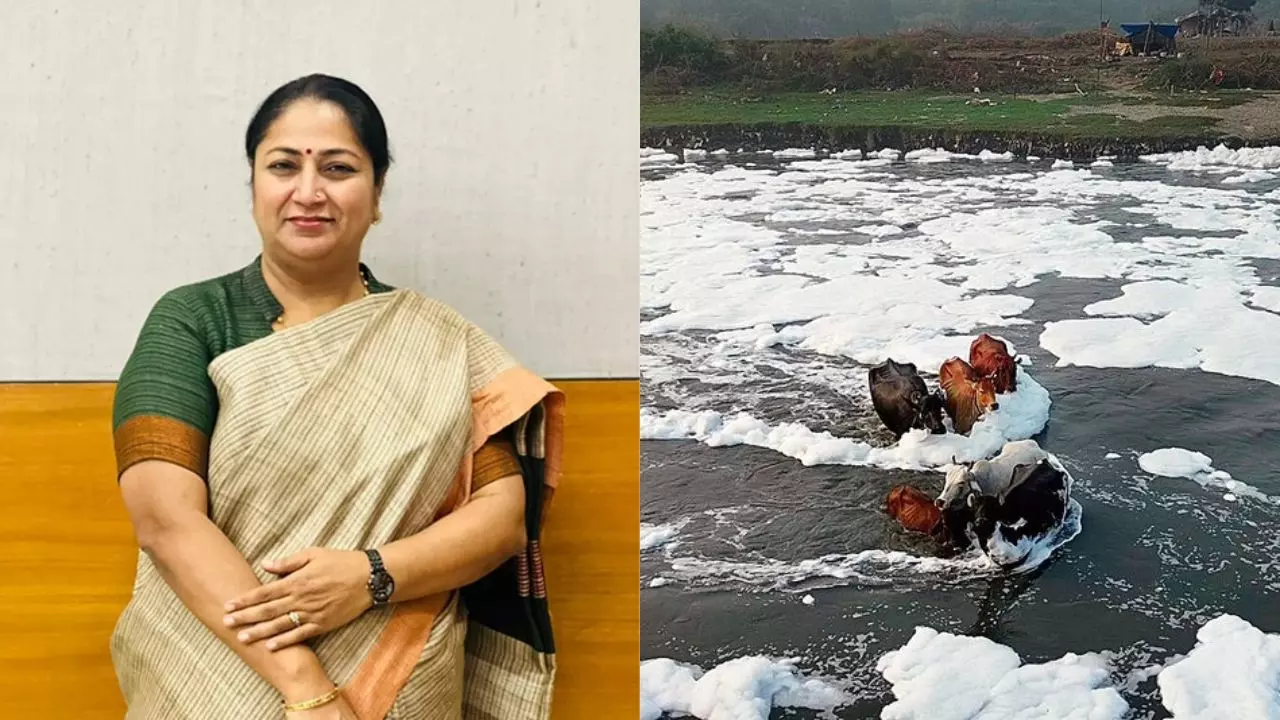 सरकार नई समस्या वही! यमुना में अमोनिया का लेवल हाई, टेंशन में जनता, क्या करेंगी CM रेखा गुप्ता? सरकार नई समस्या वही! यमुना में अमोनिया का लेवल हाई, टेंशन में जनता, क्या करेंगी CM रेखा गुप्ता?