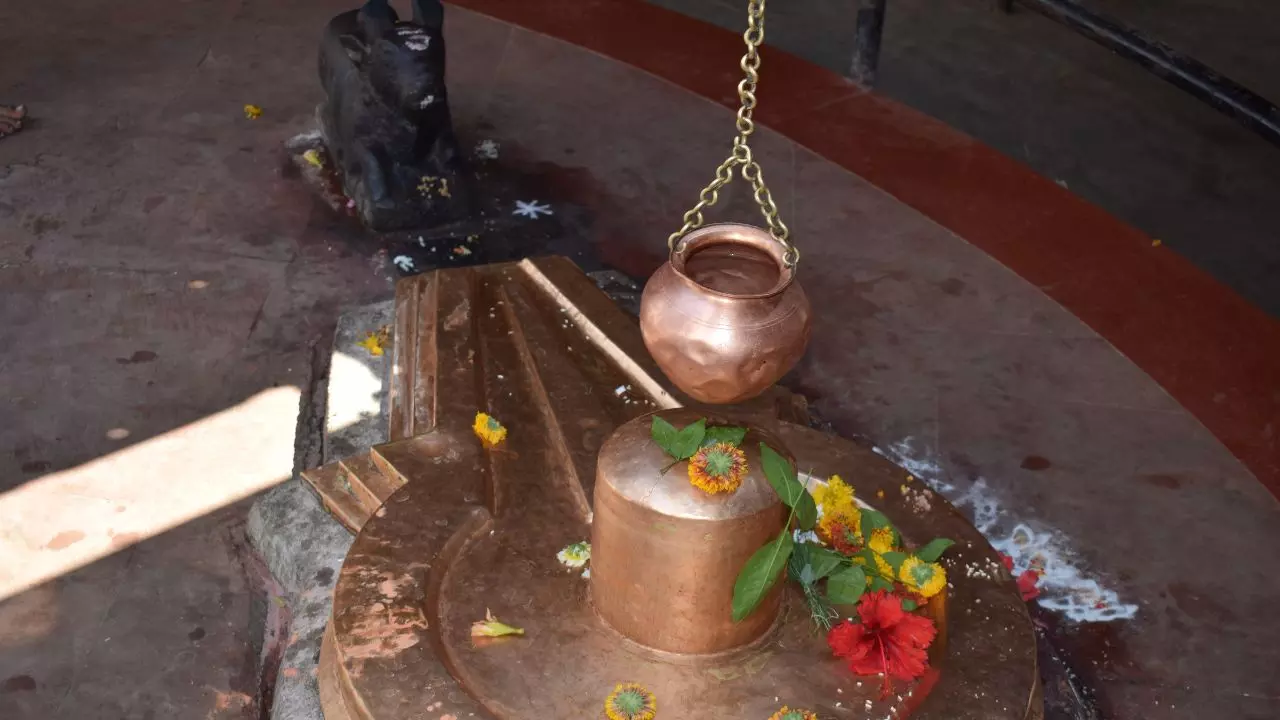 महाशिवरात्रि पर दरगाह के अंदर शिवलिंग की कर सकते हैं पूजा, कर्नाटक हाईकोर्ट ने क्यों दी परमिशन? महाशिवरात्रि पर दरगाह के अंदर शिवलिंग की कर सकते हैं पूजा, कर्नाटक हाईकोर्ट ने क्यों दी परमिशन?