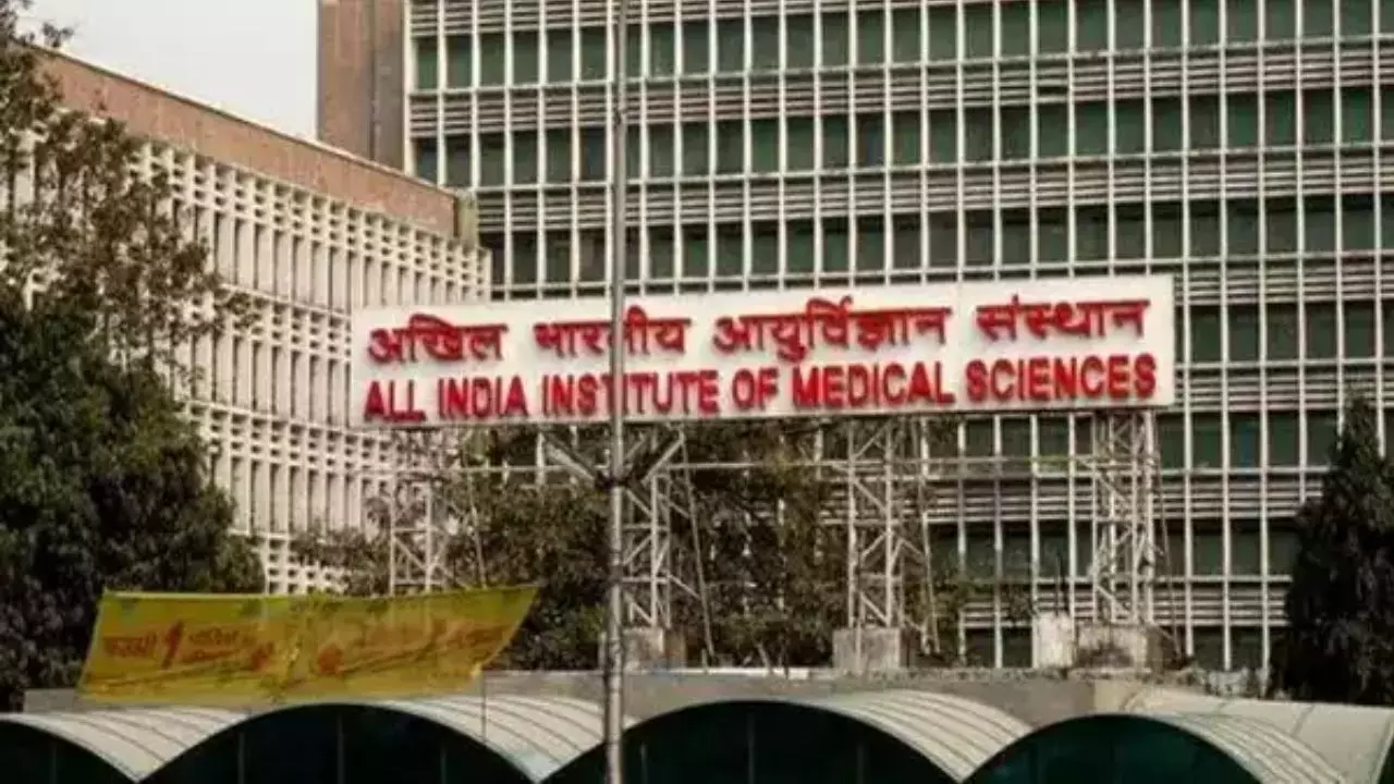 दिल्ली AIIMS ने दिल जीत लिया, 4 पैर वाले बच्चे को मिली नई जिंदगी- क्या बला है इनकंप्लीट पैरासाइट ट्विन?