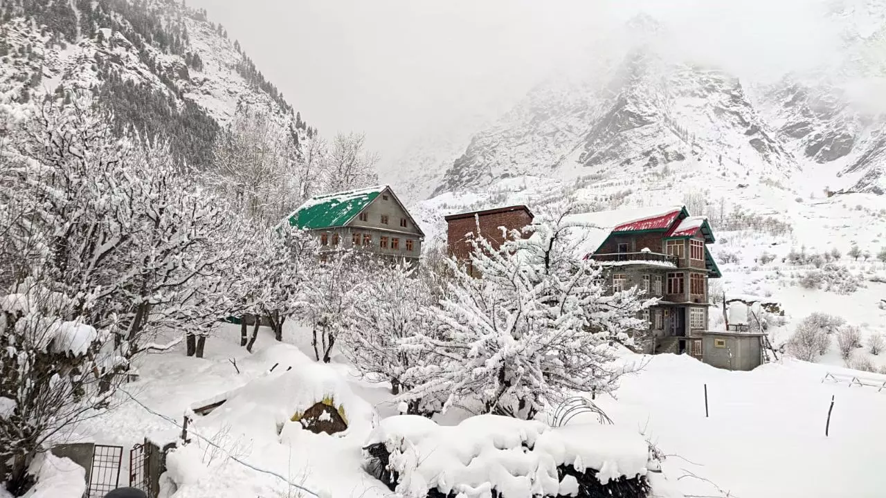 पहाड़ों पर बर्फ ही बर्फ! हिमाचल और जम्मू में Snowfall से खिले सैलानियों के चेहरे | VIDEOS पहाड़ों पर बर्फ ही बर्फ! हिमाचल और जम्मू में Snowfall से खिले सैलानियों के चेहरे | VIDEOS