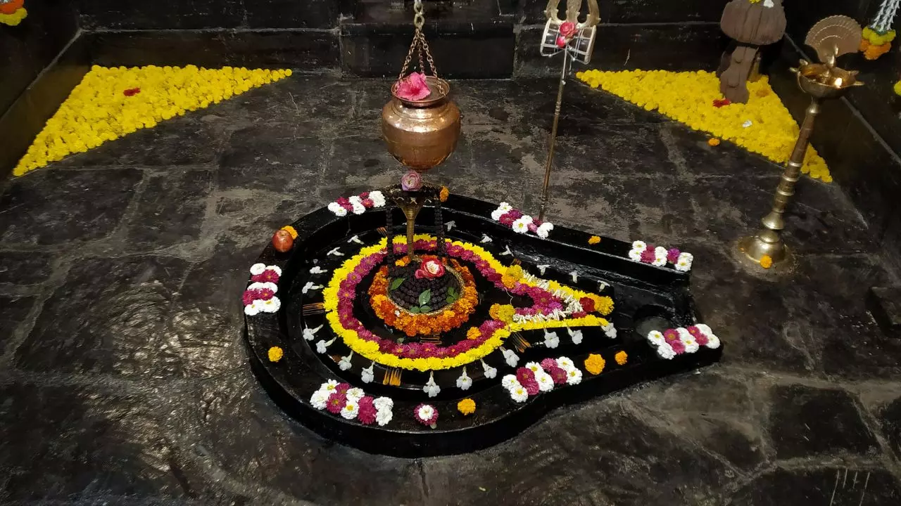 रंगभरी एकादशी पर ऐसे करें भगवान शिव को प्रसन्न, वैवाहिक जीवन में बनी रहेगी खुशहाली