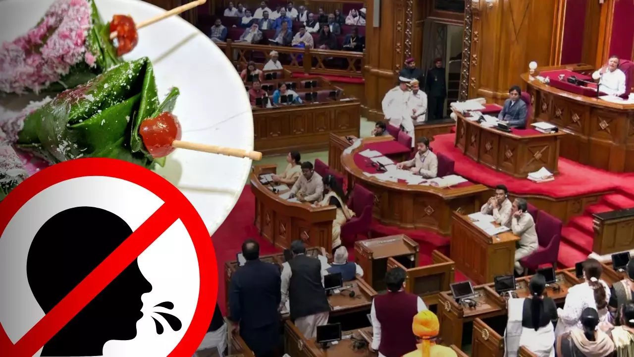 जुर्माने से लेकर सरेआम शर्मिंदा करने तक... पान मसाले की समस्या से ऐसे निपट रही यूपी विधानसभा जुर्माने से लेकर सरेआम शर्मिंदा करने तक... पान मसाले की समस्या से ऐसे निपट रही यूपी विधानसभा