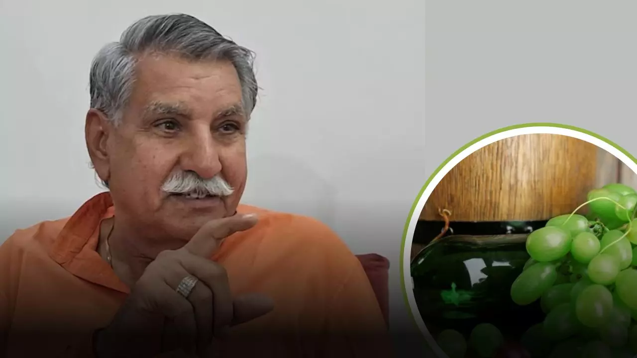 स्पीकर सर, अंगूर और गन्ने के रस से शराब... आखिर क्यों BJP के ये सांसद देसी दारू बनाने की कर रहे मांग?