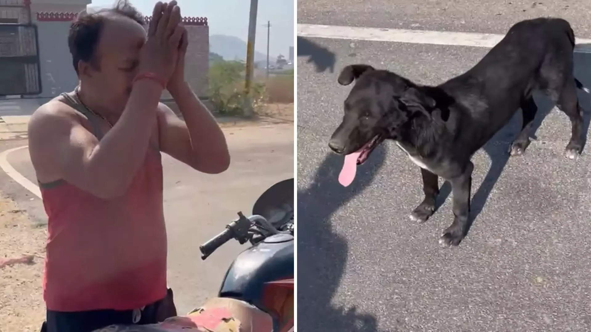 कुत्ते के गले में जंजीर बांधकर शख्स ने बाइक से घसीटा, महिला ने किया विरोध; Viral Video कुत्ते के गले में जंजीर बांधकर शख्स ने बाइक से घसीटा, महिला ने किया विरोध; Viral Video