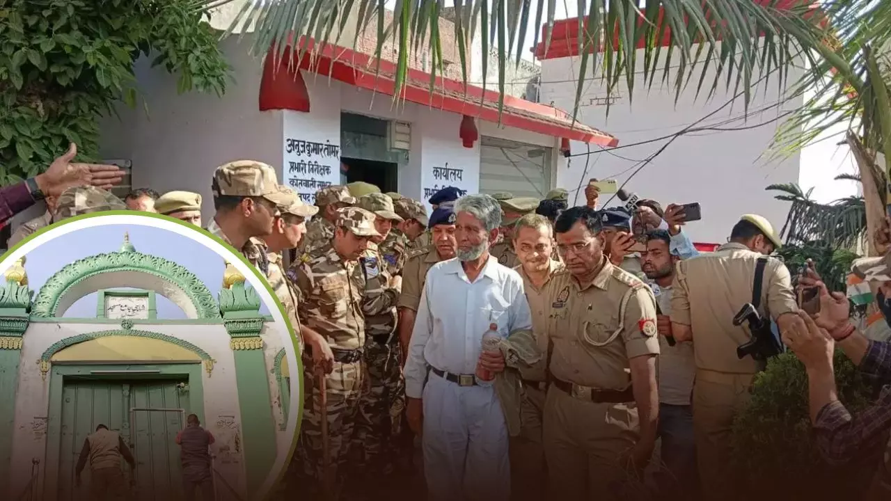 संभल मस्जिद प्रमुख जफर अली गिरफ्तार, समर्थकों ने किया विरोध प्रदर्शन; इलाके में फोर्स तैनात- VIDEO