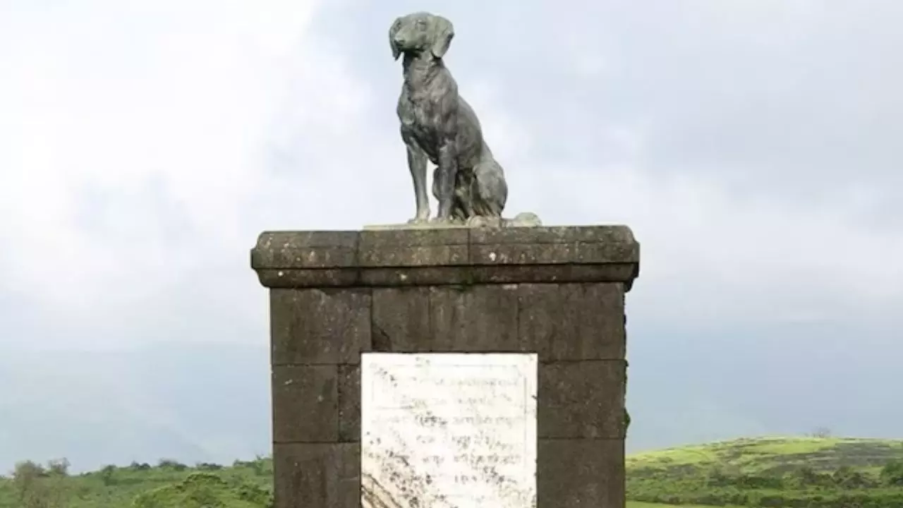 क्या सच नहीं है शिवाजी के वफादार कुत्ते की कहानी, किसने रायगढ़ किले से मेमोरियल हटाने की मांग की?
