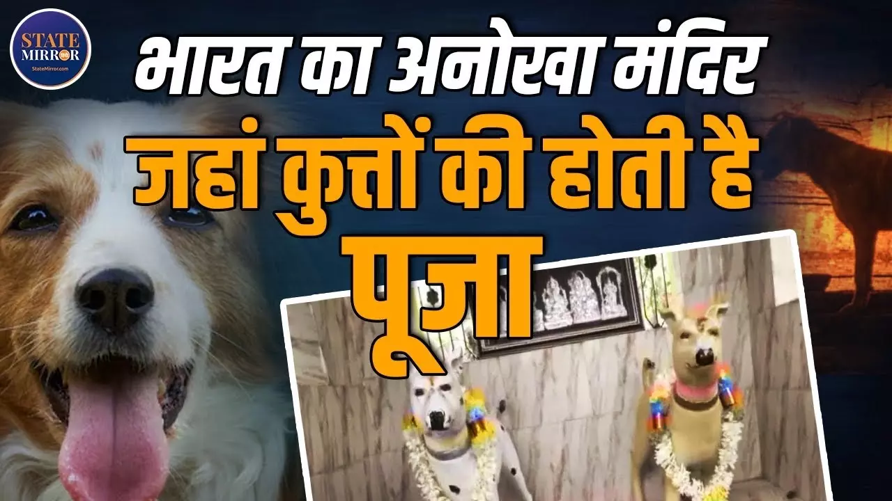 Dog Temples In India: भारत के इन मंदिरों में होती है कुत्तों की पूजा
