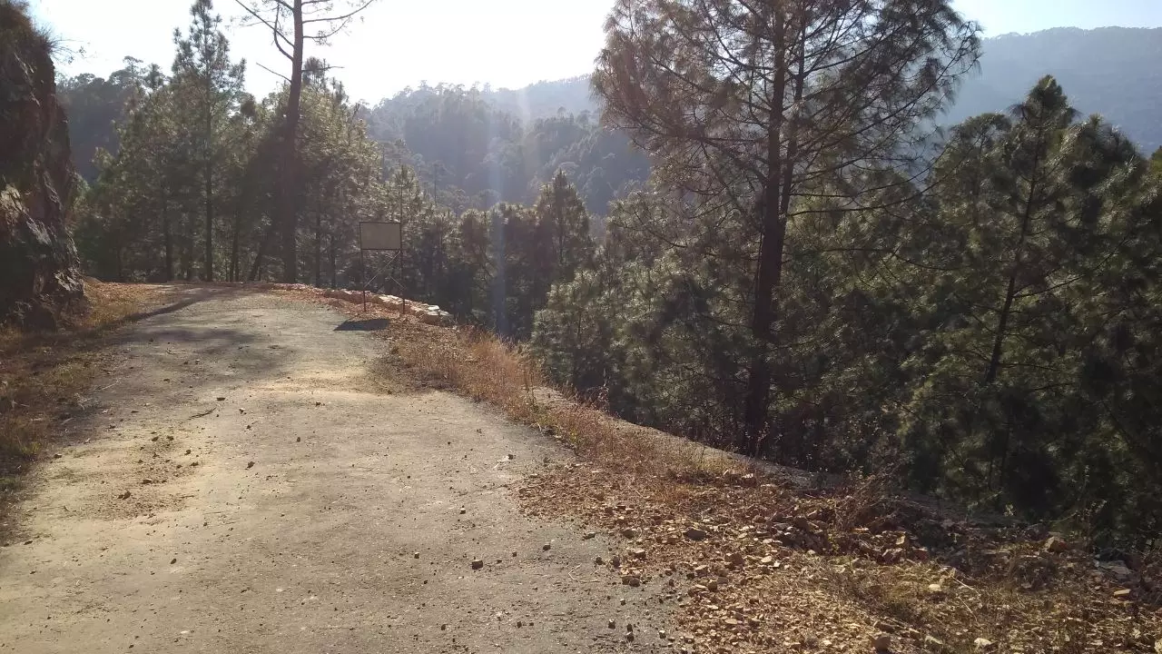 उत्तराखंड में पति को गांव में छोड़ बच्चों के साथ शहर भाग रही महिलाएं, जानें क्यों पलायन को मजबूर हुए लोग