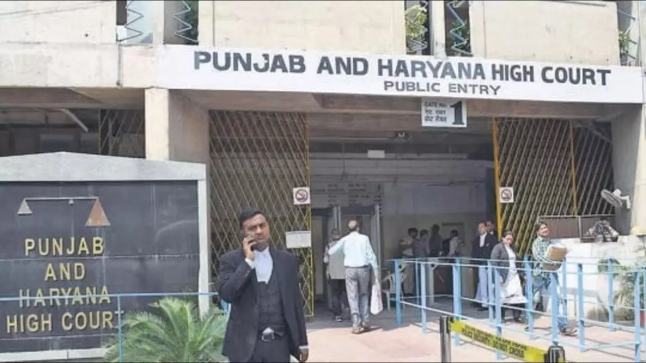 पिता की मौत के चलते... गर्भ में पल रहे बच्चे को मिले सड़क हादसे का मुआवजा, पंजाब एंड हरियाणा हाईकोर्ट का अनोखा फैसला