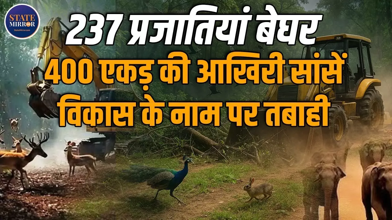 विकास के नाम पर तबाही: हैदराबाद का वो जंगल जो अब सांसें नहीं लेता