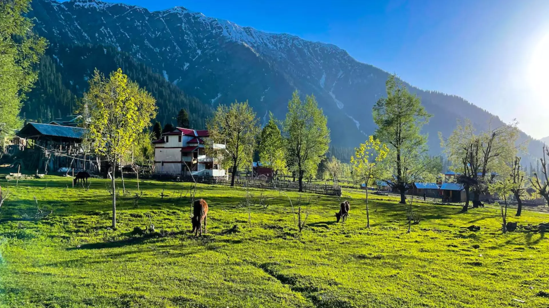 अर्जेन्ट काम बताकर कश्मीर में वेकेशन मना रहे थे कलेक्टर साहब, फोन कॉल से पकड़ा झूठ, फिर पड़ी फटकार