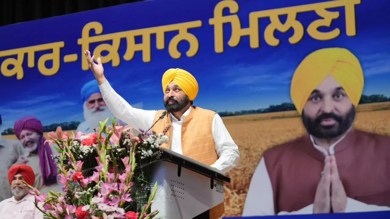 पंजाब में 1 जून से शुरू होगी धान की खेती, CM सरकार ने बनाया मास्टर प्लान