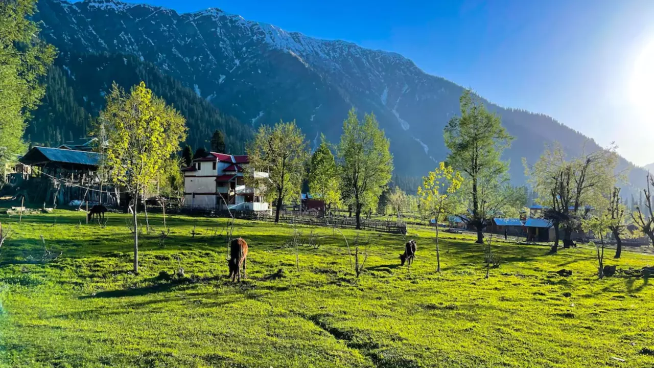 अर्जेन्ट काम बताकर कश्मीर में वेकेशन मना रहे थे कलेक्टर साहब, फोन कॉल से पकड़ा झूठ, फिर पड़ी फटकार