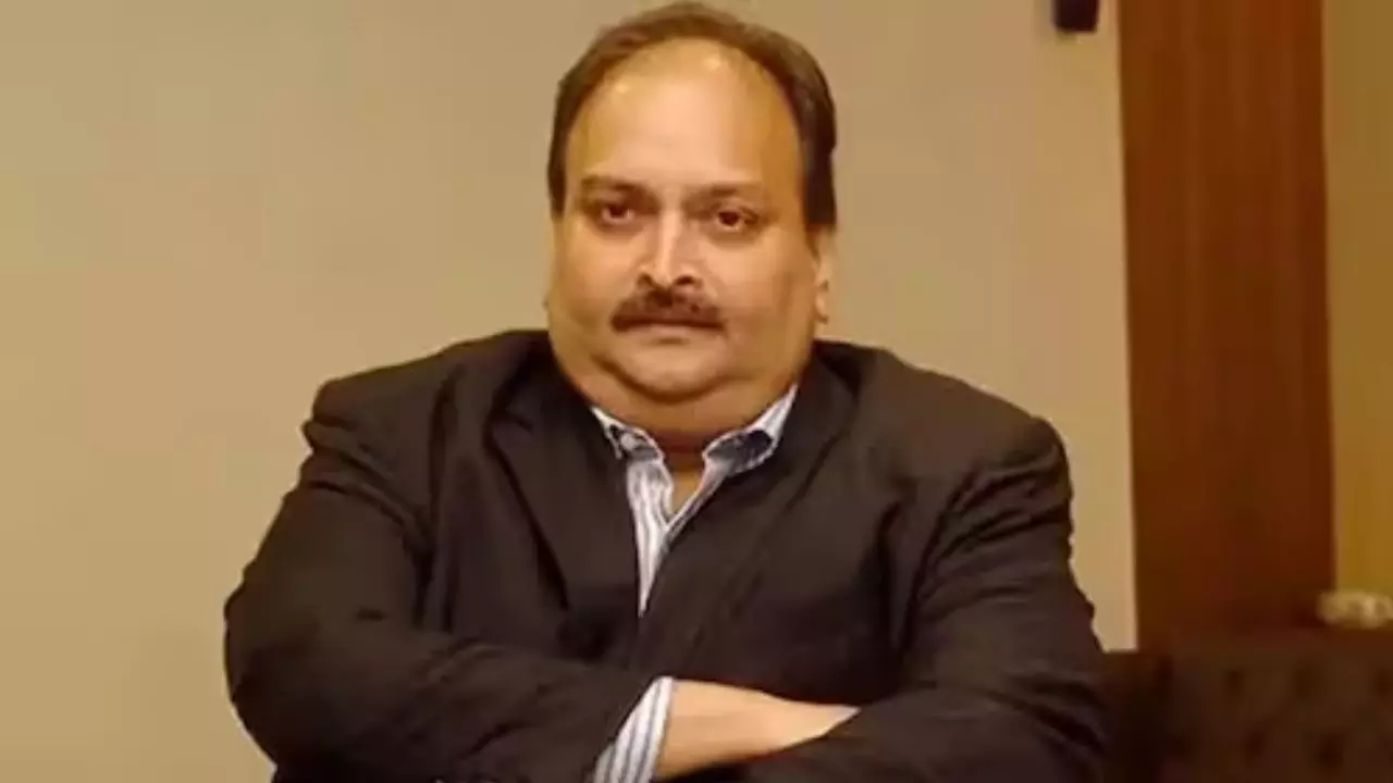 हीरे से हवालात तक! मेहुल चोकसी पर शिकंजा कसने बेल्जियम जा रही CBI-ED की टीम; एजेंसियों का क्या है प्लान? हीरे से हवालात तक! मेहुल चोकसी पर शिकंजा कसने बेल्जियम जा रही CBI-ED की टीम; एजेंसियों का क्या है प्लान?
