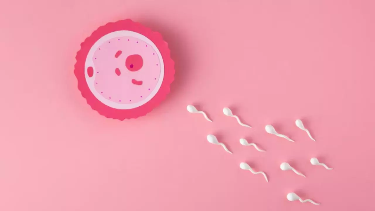ये क्या है भाई? अब इंसान या घोड़े नहीं मैदान पर होगी Sperm रेस, जानें कहां और कैसे होगा ये खेल