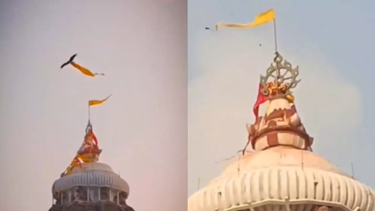 ‘गरुड़ देवता या बुरा संकेत?’ जगन्नाथ मंदिर के ऊपर भगवा कपड़ा लिए उड़ते बाज ने बढ़ाई चर्चा, देखें VIDEO