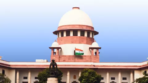 “इंसानों पर क्रूरता का क्या?” SC ने आवारा कुत्तों के बढ़ते हमलों पर जताई नाराजगी, कहा - भारत की छवि हो रही खराब : 10 बातें “इंसानों पर क्रूरता का क्या?” SC ने आवारा कुत्तों के बढ़ते हमलों पर जताई नाराजगी, कहा - भारत की छवि हो रही खराब : 10 बातें