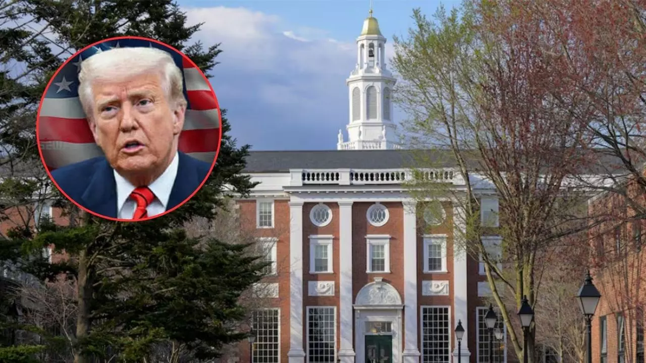 सरकार तय नहीं करेगी क्या पढ़ाएं, किसे पढ़ाएं... ट्रम्प प्रशासन की शर्तों के खिलाफ हार्वर्ड ने ठोका मुकदमा