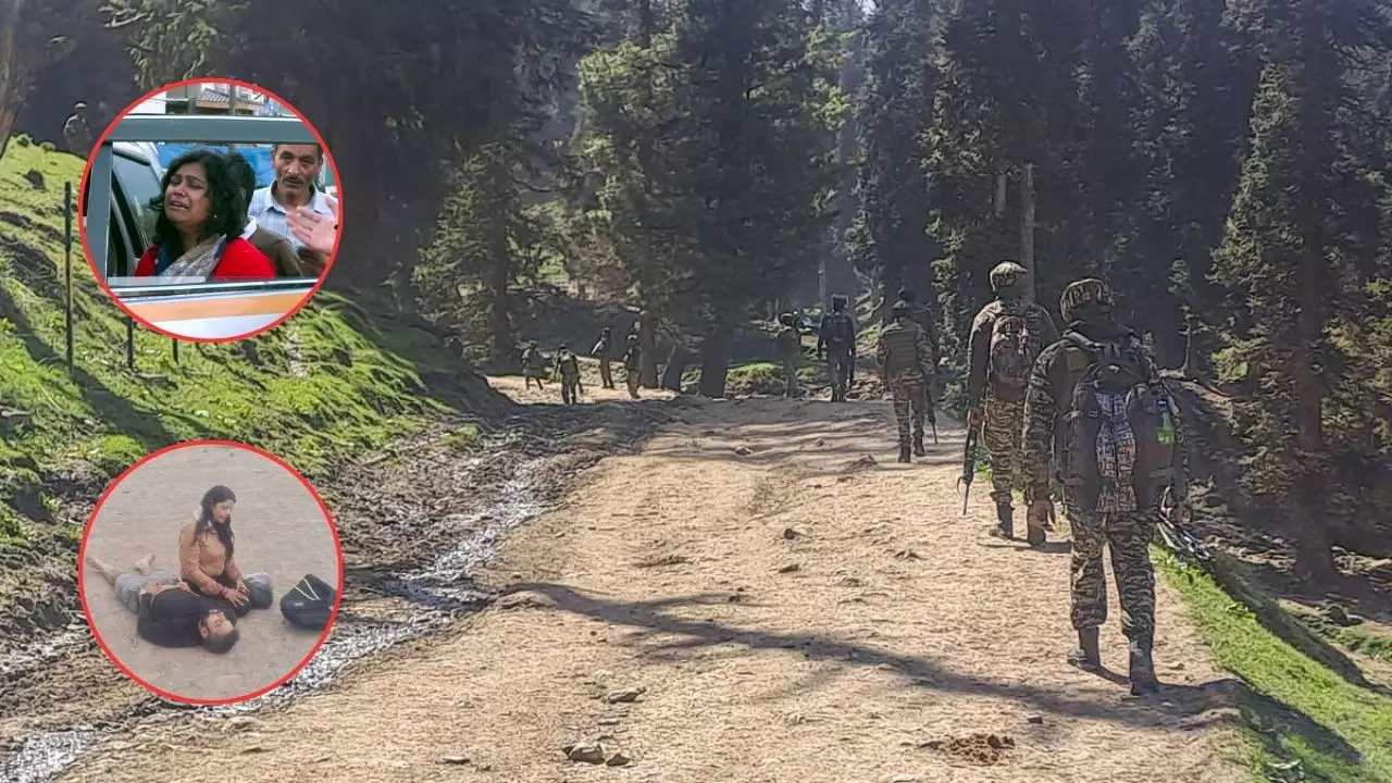 Pahalgam Attack Side Effect: आप दौड़ते रहिए दिल्ली से पहलगाम तक, वे तो काम करके जिंदा निकल गए - Exclusive Pahalgam Attack Side Effect: आप दौड़ते रहिए दिल्ली से पहलगाम तक, वे तो काम करके जिंदा निकल गए - Exclusive