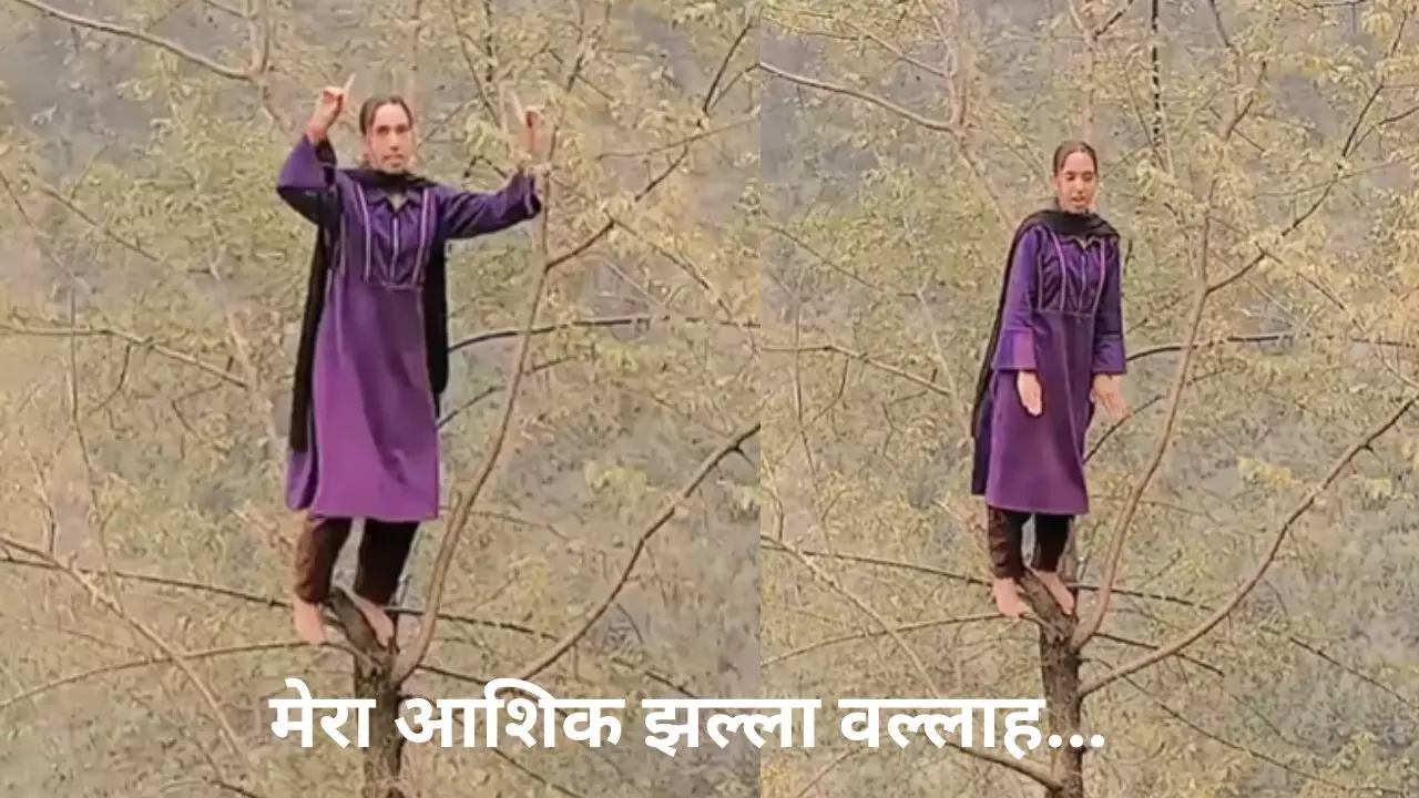 कश्मीरी लड़की ने पेड़ पर चढ़कर किया झल्ला वल्लाह,  वीडियो देख यूजर्स बोले- मौत भी दीदी से डर गई!