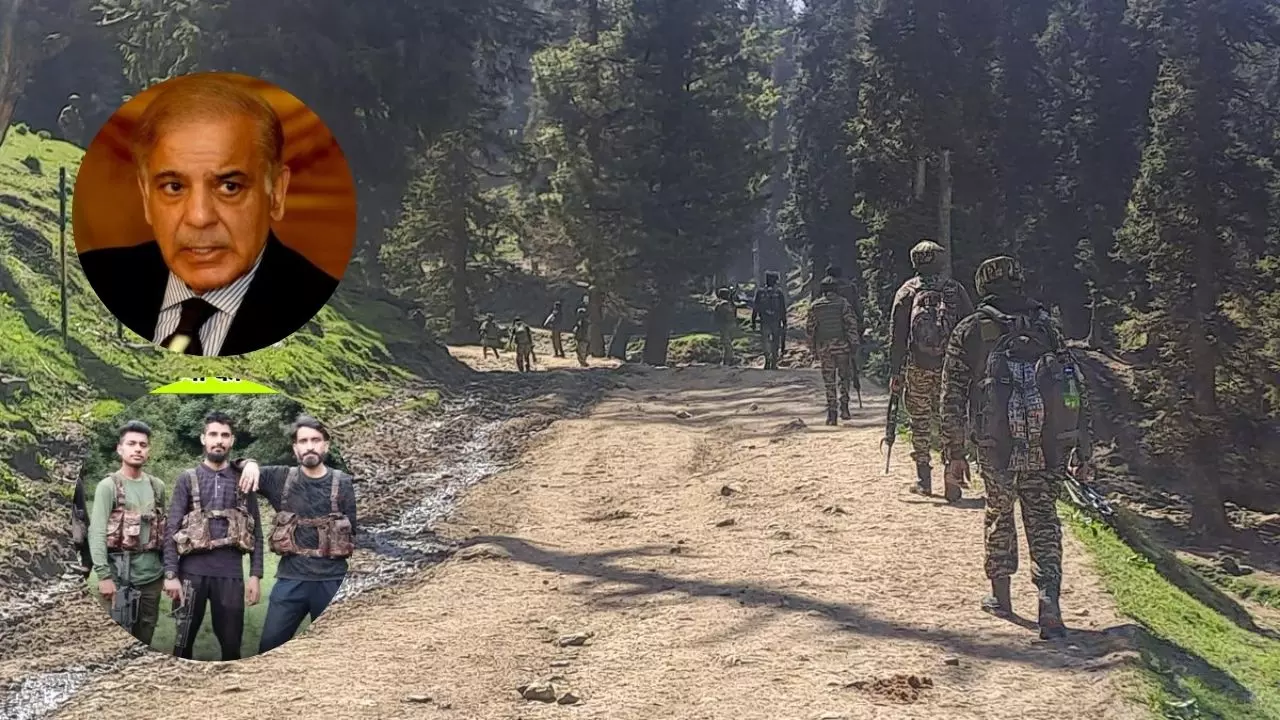 Pahalgam Attack: आतंकी हमले के समय जान बचाने पेड़ पर चढ़ा था फोटोग्राफर, बनाया वीडियो; पढ़ें अब तक के Update Pahalgam Attack: आतंकी हमले के समय जान बचाने पेड़ पर चढ़ा था फोटोग्राफर, बनाया वीडियो; पढ़ें अब तक के Update