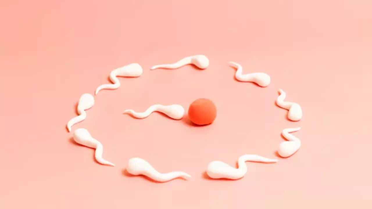 20 साल के लड़के ने जीता Sperm Race कॉम्पिटिशन, इनाम में मिले लाखों