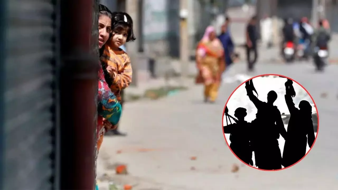 आम लोगों की तरह दिखने वाले OGW के बारे में जानते हैं आप? फुल फॉर्म से लेकर हर डिटेल है यहां