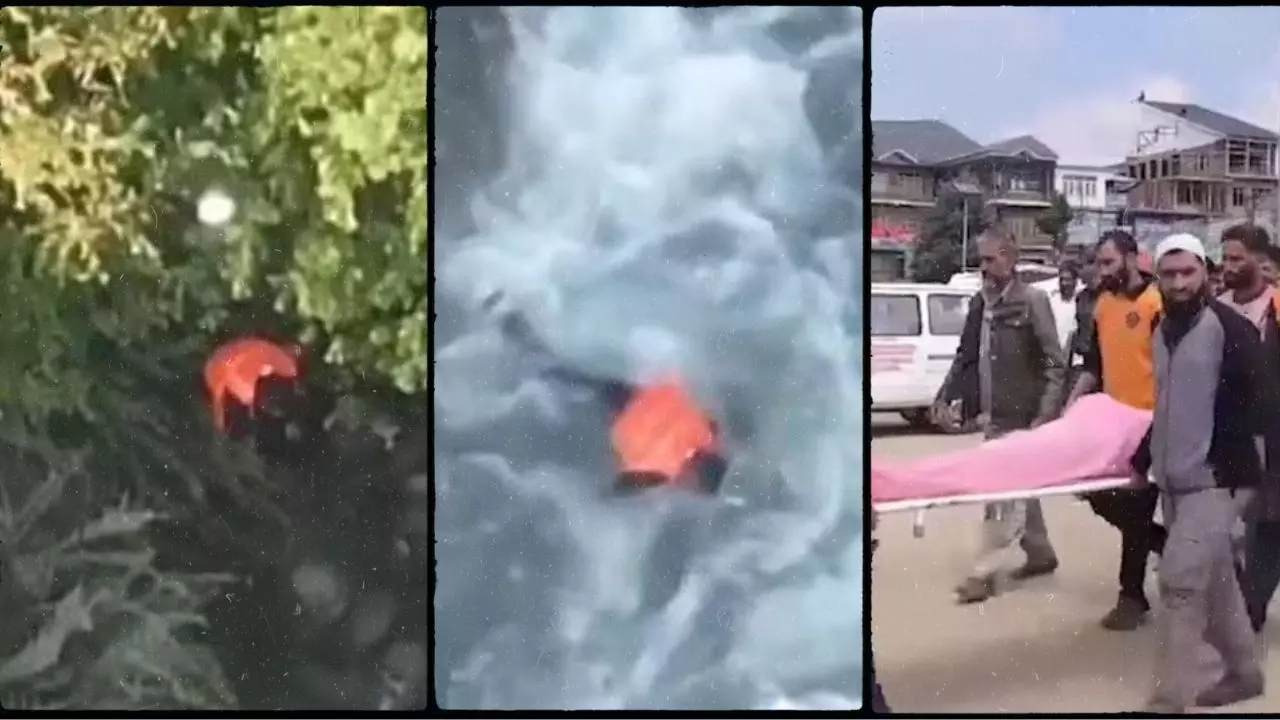 पुलिस से बचने के लिए नदी में कूदा इम्तियाज, आतंकियों की मदद का आरोप; सियासत और वायरल वीडियो की क्या है सच्चाई?