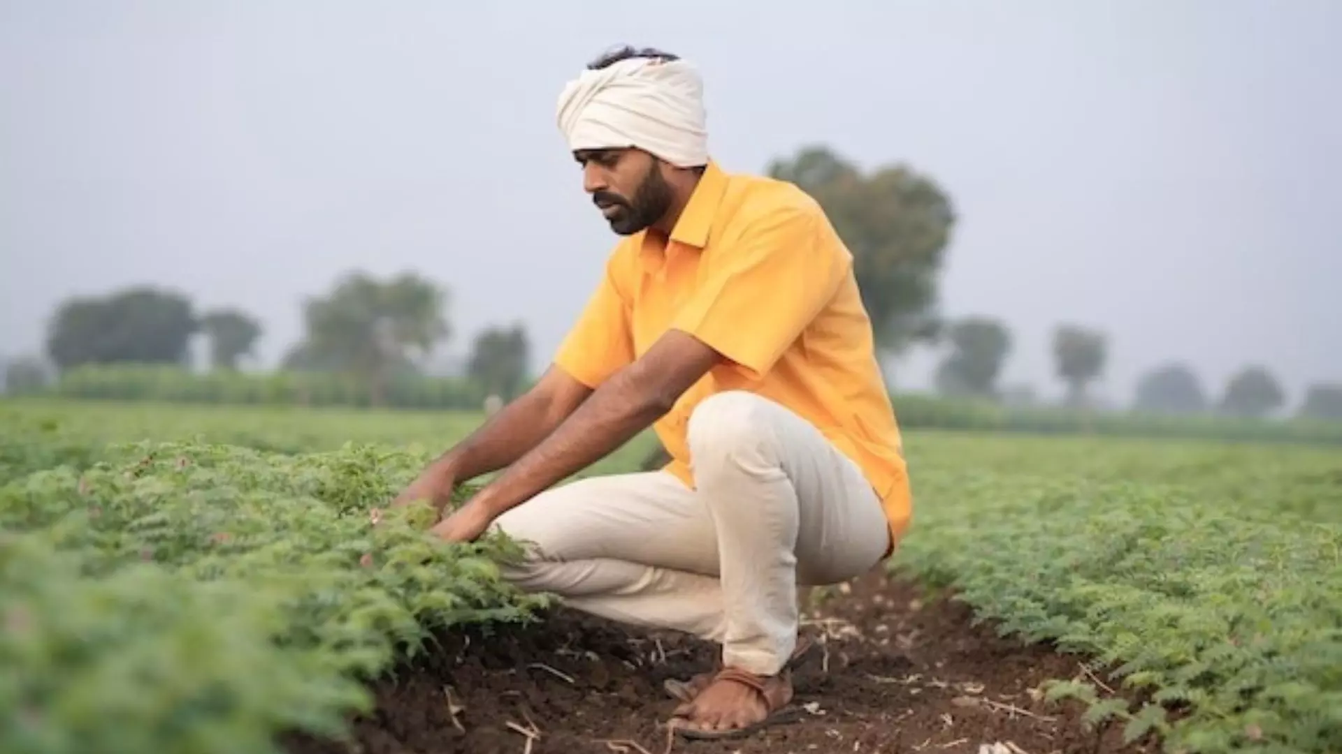 पेड़ नहीं थे, ज़मीन भी नहीं... फिर भी खड़ा कर दिया 3 करोड़ का कारोबार, यह है लाह वाले शक्ति कोईरी की कहानी पेड़ नहीं थे, ज़मीन भी नहीं... फिर भी खड़ा कर दिया 3 करोड़ का कारोबार, यह है लाह वाले शक्ति कोईरी की कहानी