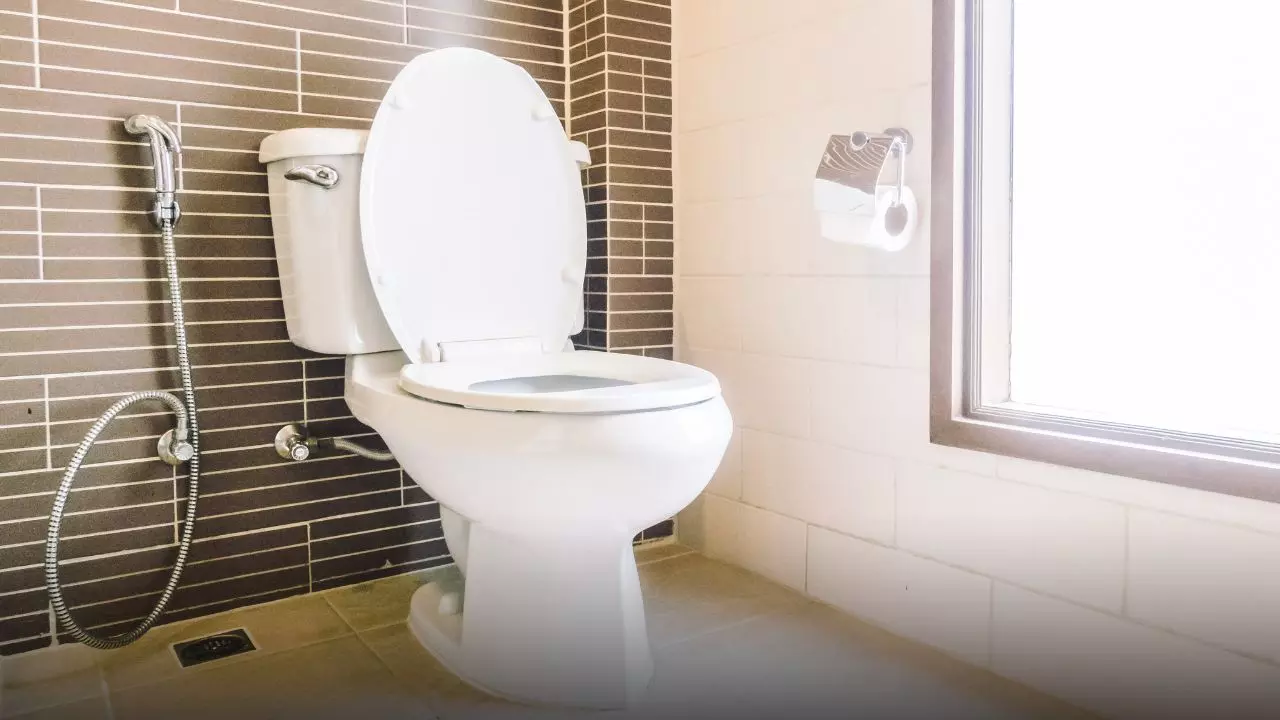 आखिर वेस्टर्न टॉयलेट में ब्लास्ट का क्या है कारण? बचाव के लिए इन बातों का रखें ध्यान आखिर वेस्टर्न टॉयलेट में ब्लास्ट का क्या है कारण? बचाव के लिए इन बातों का रखें ध्यान